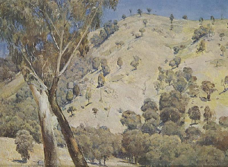 Tom roberts Australian landscape oil painting picture